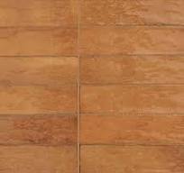 Terra lucida 8x30